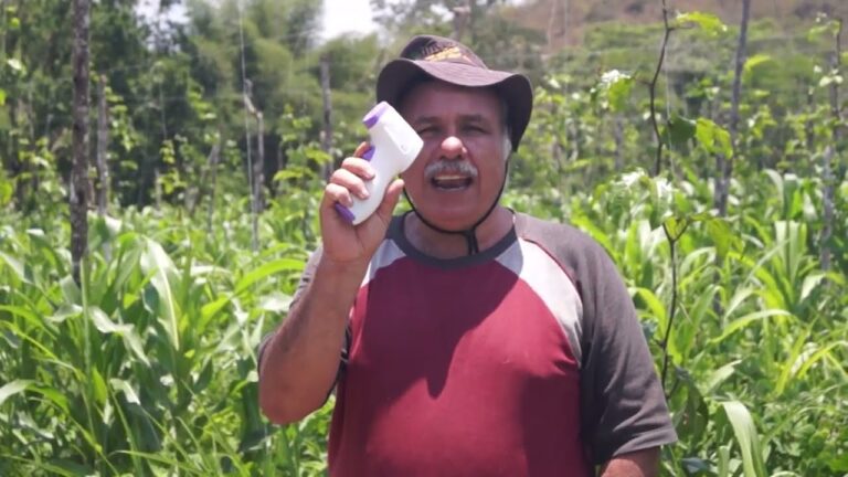 Impacto de la humedad en las plantas