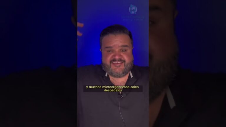 El impacto del moho en la ropa húmeda