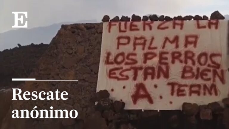 Reconocimiento a Equipos de Salvamento: Héroes Anónimos de Nuestra Sociedad