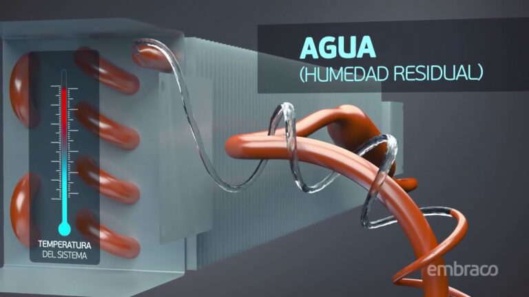 Riesgos de almacenar ropa húmeda: ¡evítalos!