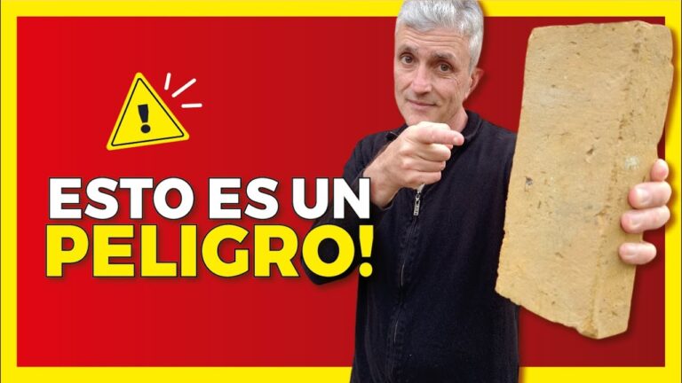 Errores comunes al combatir la humedad: Guía de soluciones efectivas