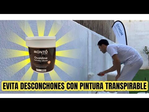 Pintura Exterior Duradera con SATE: La Mejor Opci&oacute;n para tu Hogar