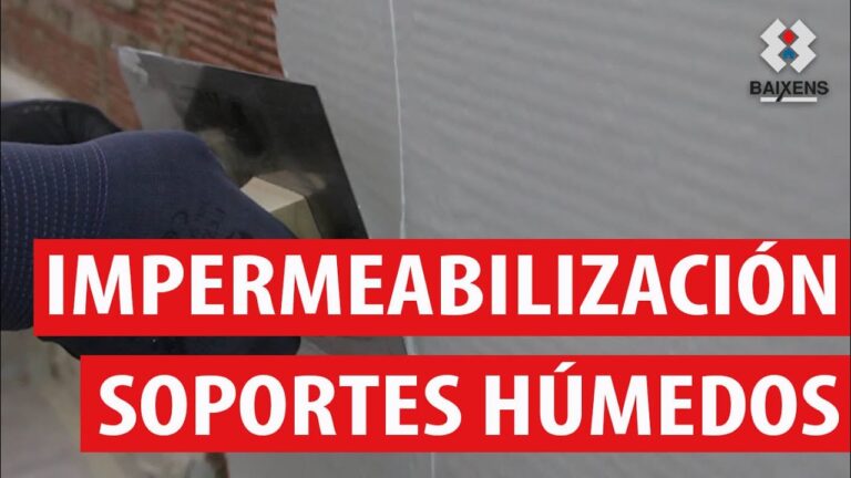 Condiciones ideales de humedad para s&oacute;tanos: Gu&iacute;a completa