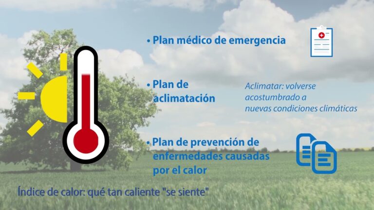 Protección ante condiciones climáticas extremas: Consejos clave