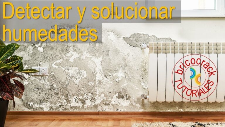 Métodos eficaces para detectar humedades