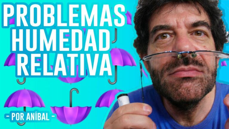 Impacto de la Humedad Relativa: Consecuencias y Soluciones