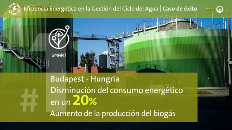 Residuos Org&aacute;nicos: Clave para la Eficiencia Energ&eacute;tica