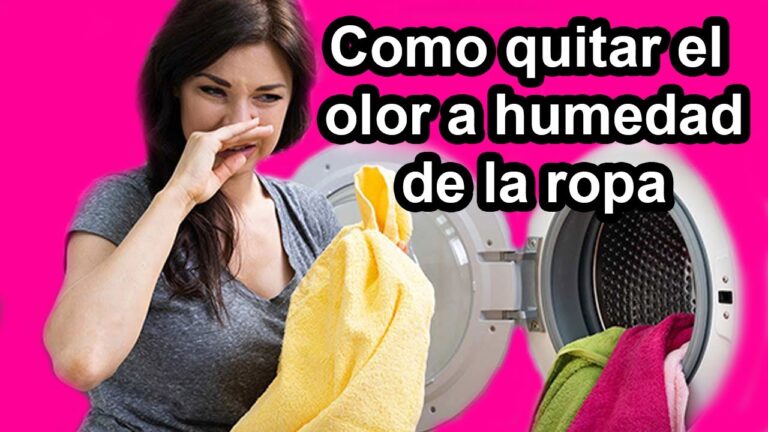 Origen de la humedad en la ropa: causas y soluciones