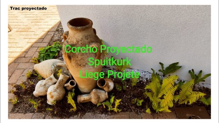 Ahorro energético con corcho proyectado: una solución eficiente